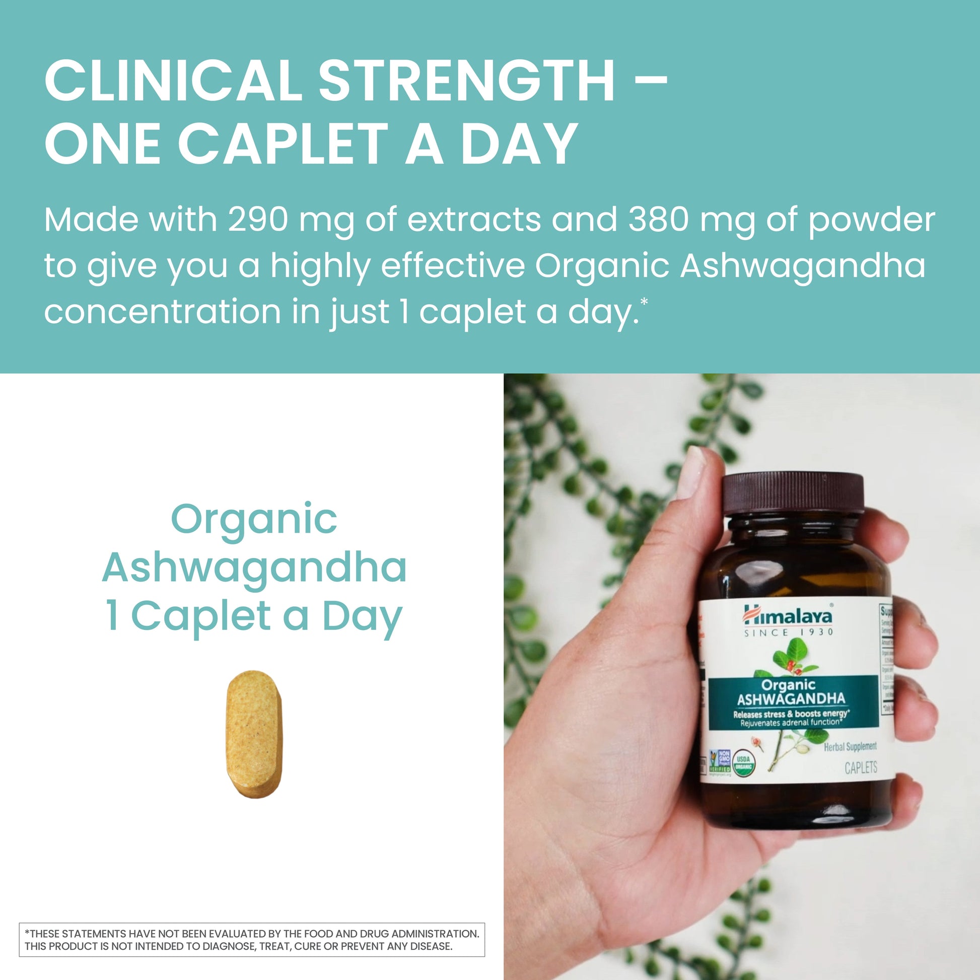 Organic Ashwagandha, Natural Stress & Anxiety Relief, Energy Supplement, 90 Count, 3 Month Supply