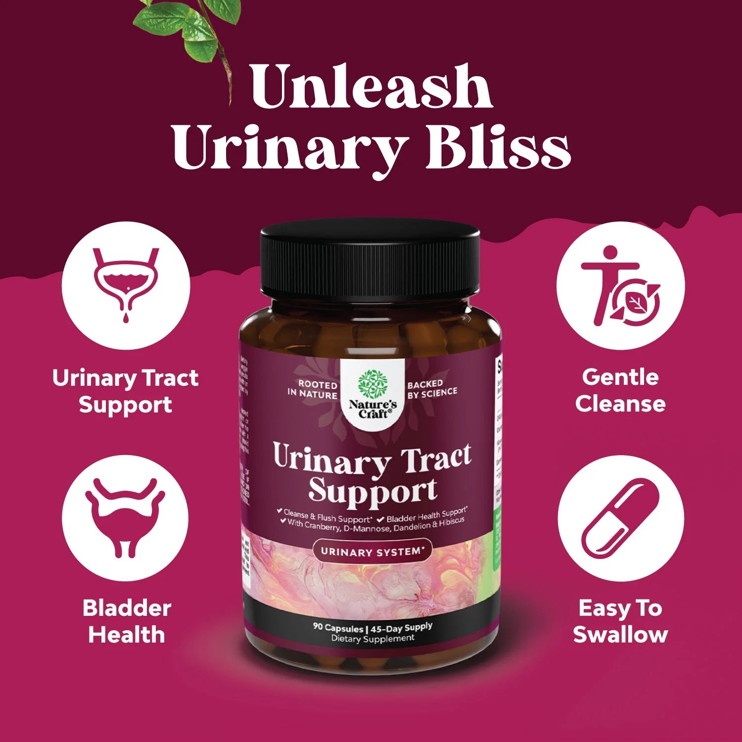 D Mannose Capsules for Urinary Tract Health - High Potency D-Mannose with Cranberry Juice Powder & Dandelion for Urinary Tract Health for Women Fast Acting Super Concentrated Cranberry - 90 Capsules