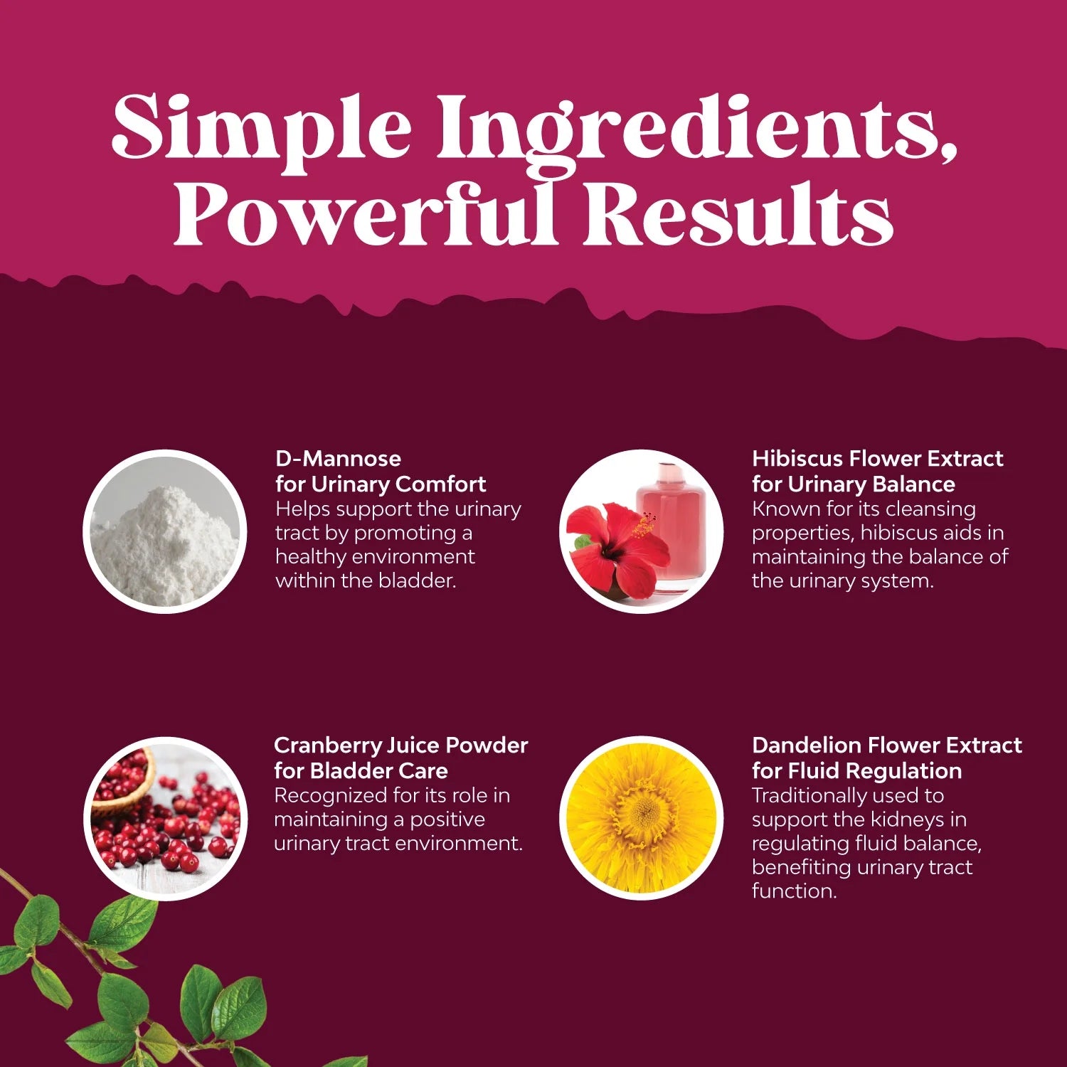 D Mannose Capsules for Urinary Tract Health - High Potency D-Mannose with Cranberry Juice Powder & Dandelion for Urinary Tract Health for Women Fast Acting Super Concentrated Cranberry - 90 Capsules