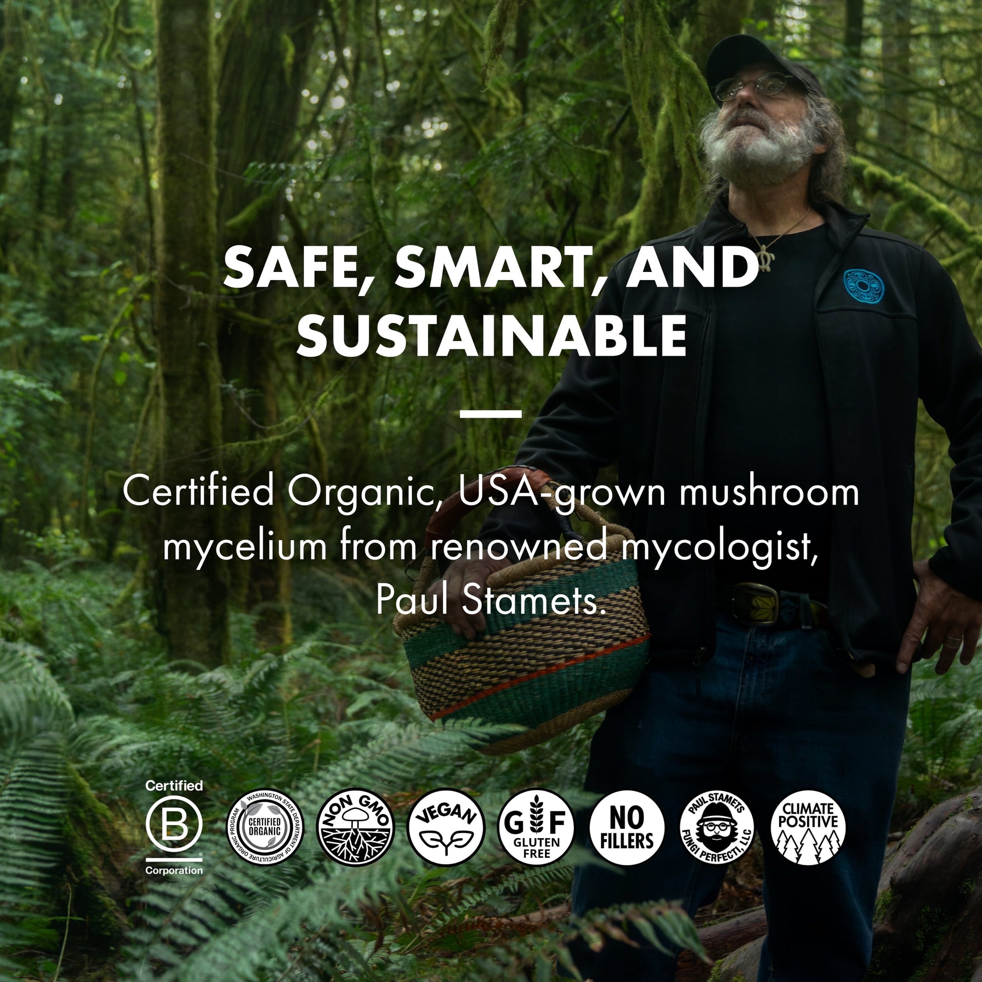 Turkey Tail Capsules - 60 Capsules (30 Servings)