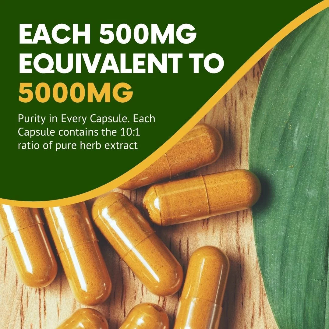 Kadaknath | Ayurvedic Vitality and Energy Capsules with Organic Ashwagandha, Himalayan Organic Shilajit and More - Herbal Supplement for Men'S Health & Wellness - 60 Capsules