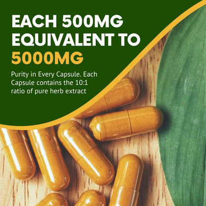 Kadaknath | Ayurvedic Vitality and Energy Capsules with Organic Ashwagandha, Himalayan Organic Shilajit and More - Herbal Supplement for Men'S Health & Wellness - 60 Capsules