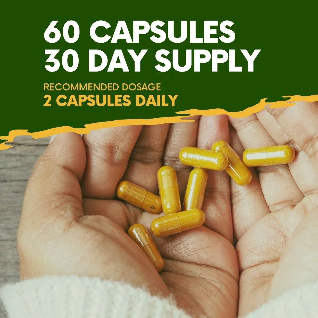 Kadaknath | Ayurvedic Vitality and Energy Capsules with Organic Ashwagandha, Himalayan Organic Shilajit and More - Herbal Supplement for Men'S Health & Wellness - 60 Capsules