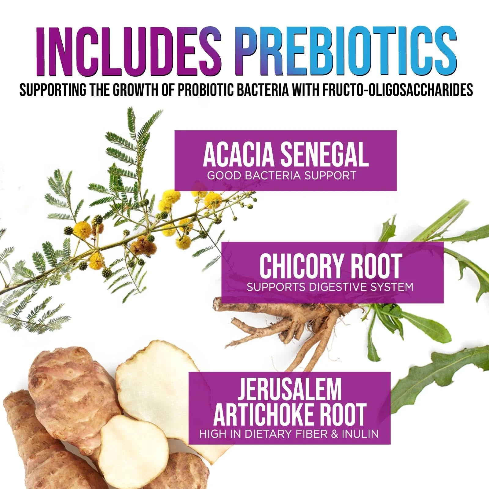 Daily Probiotic for Women & Men 60 Billion CFU 10 Strains Supplement Lactobacillus Probiotics - Digestive Gut & Immune Health Support - Supports Occasional Constipation, Gas & Bloating - 60 Capsules