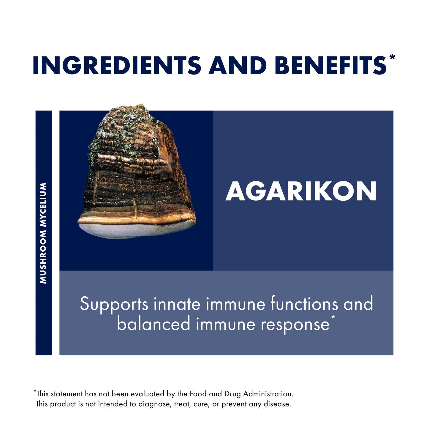 Agarikon Capsules - 60 Capsules (60 Servings)