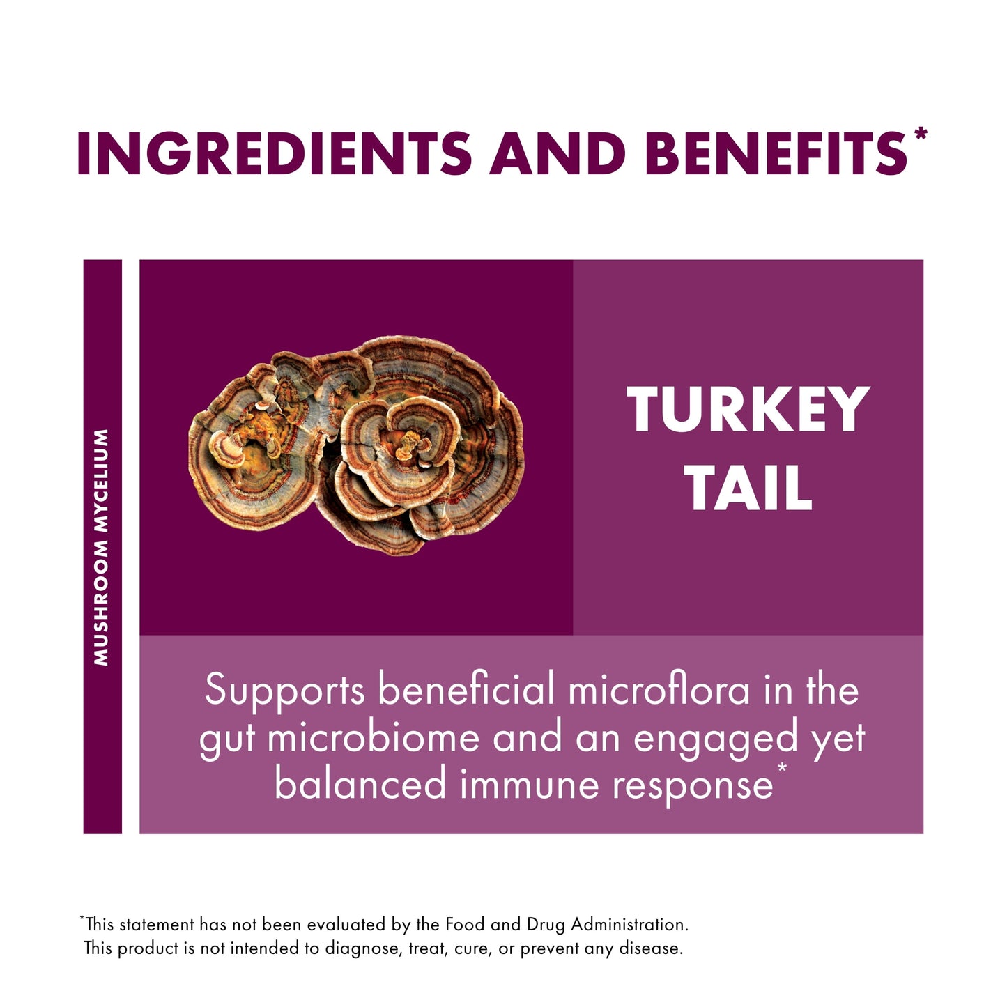 Turkey Tail Capsules - 60 Capsules (30 Servings)