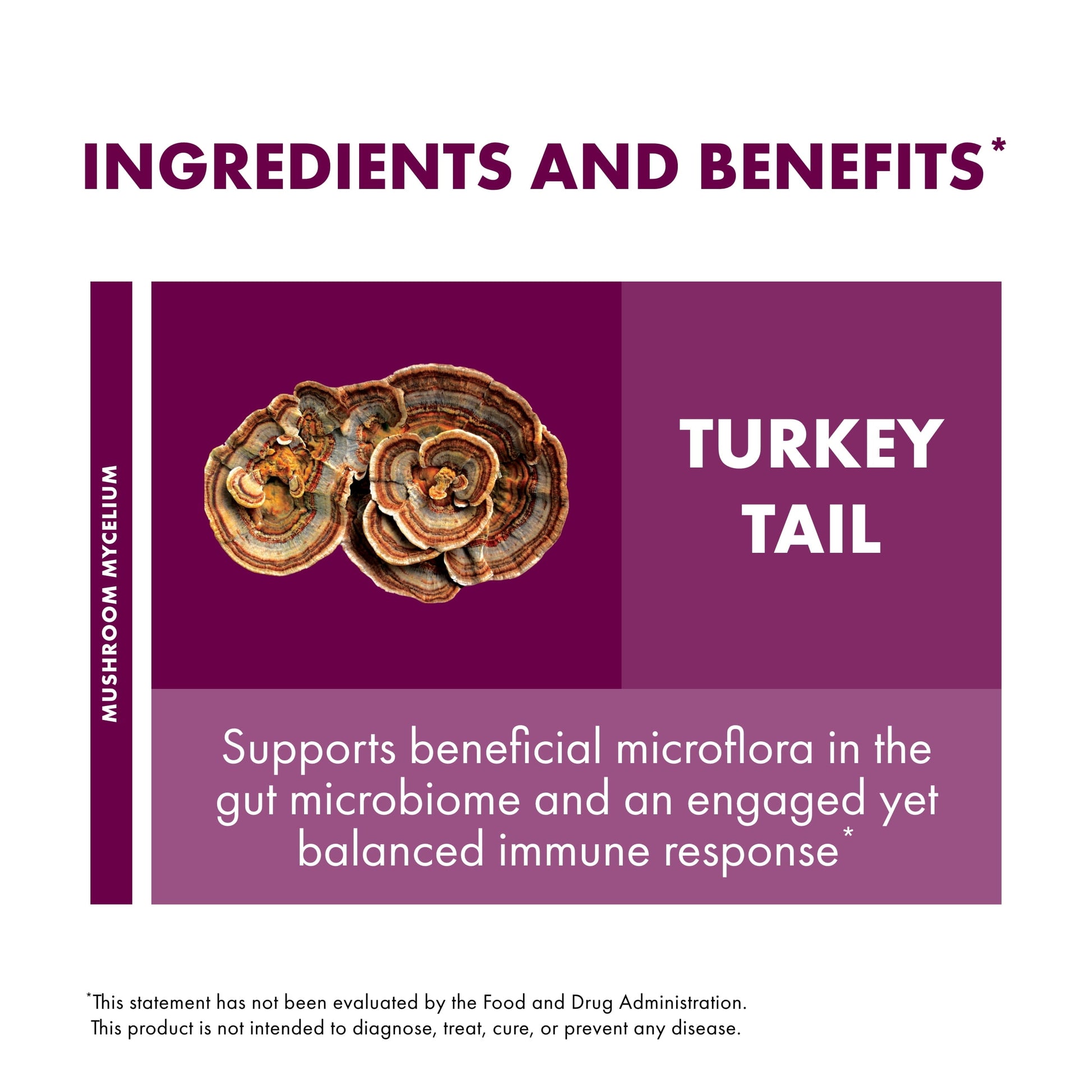 Turkey Tail Capsules - 60 Capsules (30 Servings)