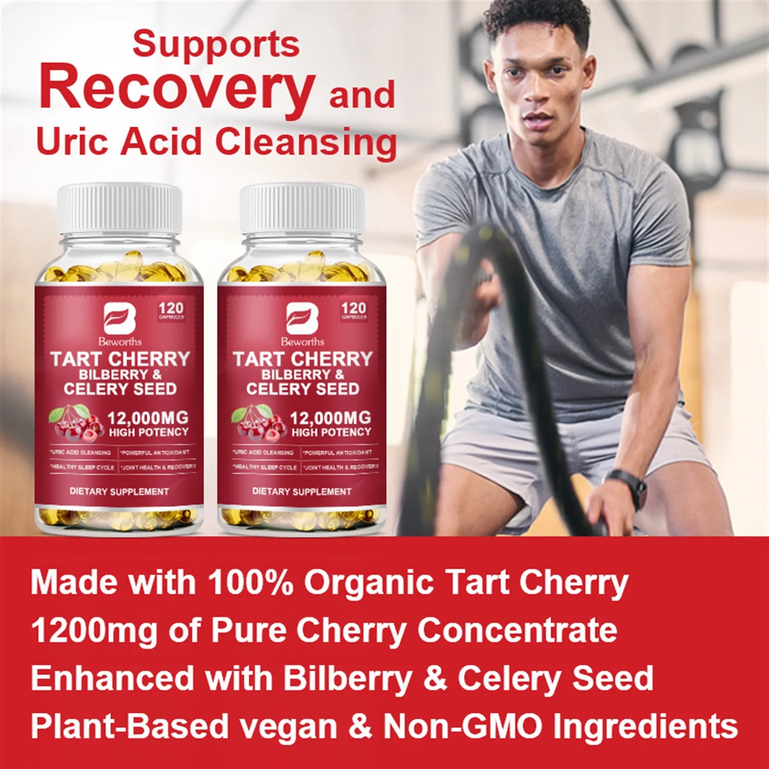 (2 Pack) Organic Tart Cherry Extract Capsules with Bilberry Fruit & Celery Seed, 1200Mg High Potency for Joint Support & Muscle Recovery, 240 Capsules Total -